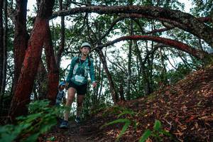 BIB: 
                            <button type="button" onclick="openModal(26346215)" class="btn btn-primary btn-sm float-right btn-popup" data-toggle="modal" data-target=".modal-high-quality">
                        <i class="fas fa-shopping-cart"></i> Add to Cart
                    </button>
                                            <button type="button" onclick="isThisMe(26346215, true)" class="btn btn-success btn-sm float-right btn-popup btn-isme hidden" data-toggle="tooltip" data-placement="bottom" title="นี่คือรูปของคุณใช่ไหม คลิกที่นี่เพื่อเอาเข้าอัลบั้ม">
                        <i class="fas fa-plus"></i> Add to album
                    </button>
                    <button type="button" onclick="isThisMe(26346215, false)" class="btn btn-warning btn-sm float-right btn-popup btn-isnotme hidden">
                        <i class="fas fa-ban"></i> Remove from album
                    </button>